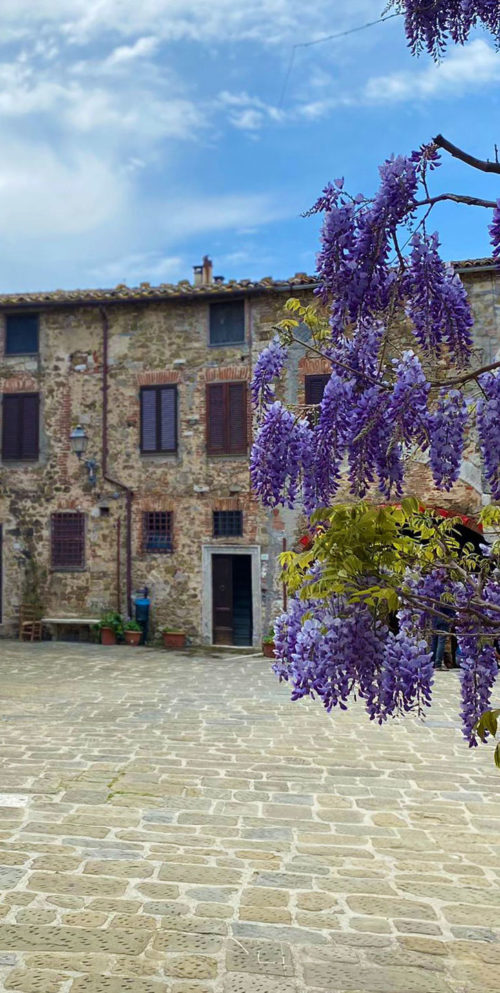Montemerano, Terme di Saturnia Autonoleggio Toscana con autista